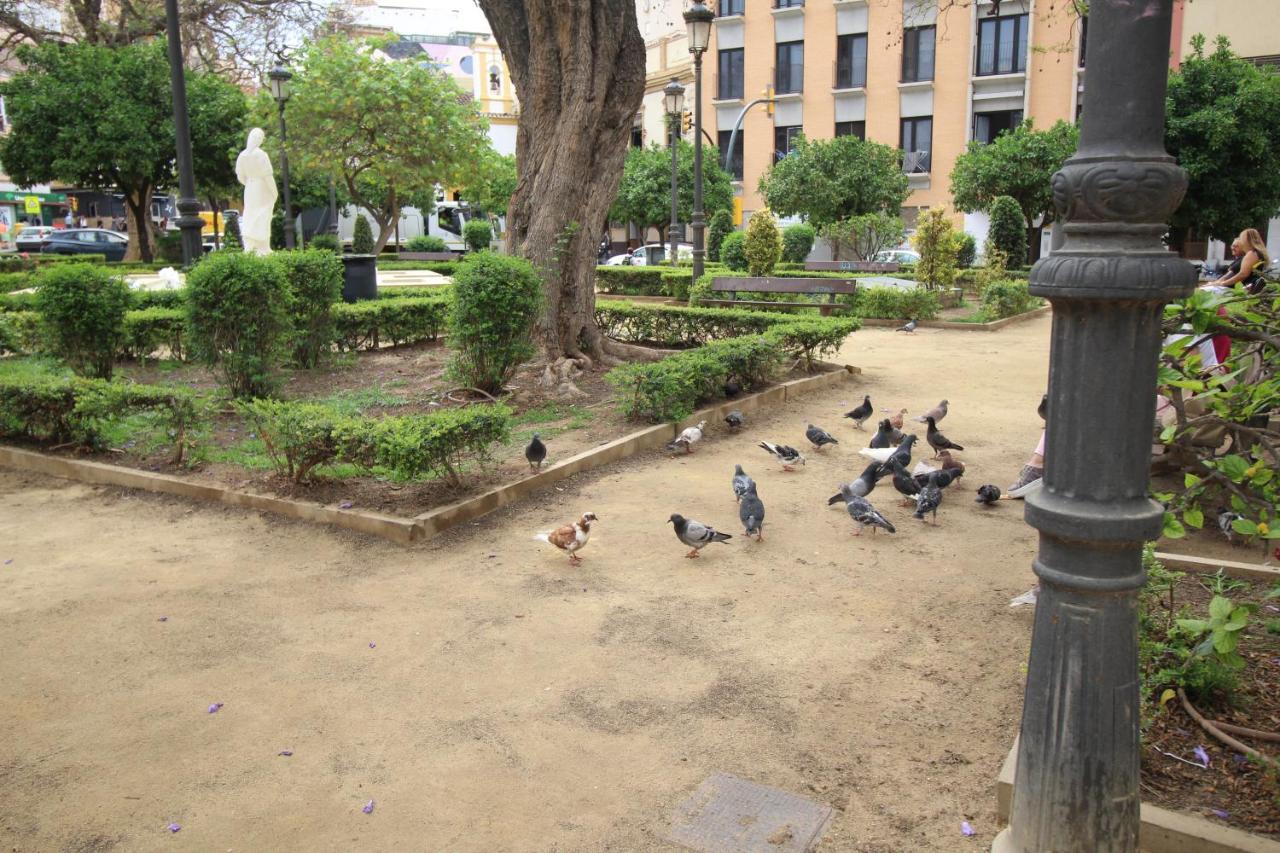 Del Parque Flats Monkey 1 Διαμέρισμα Μάλαγα Εξωτερικό φωτογραφία